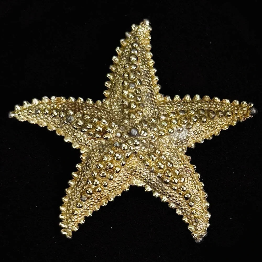 Vintage aged, goldtone raised Starfish Brooch Pin